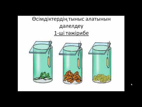 Видео: Өсімдіктердің тыныс алуы