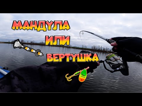 Видео: ЛУЧШАЯ ПРИМАНКА НА ХИЩНИКА - МАНДУЛА против ВЕРТУШКИ