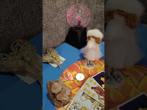 Видео: Голос Предков ❗❗❗Что хотят вам передать ⁉️☀️