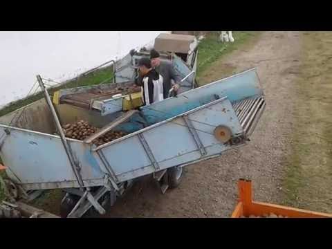 Видео: Kopanie ziemniaków T-25, катроплекомбайн Anna Z644