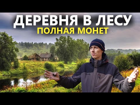 Видео: Кладоискатель вынес более 300 монет с деревни в лесу за 3 года. Коп поиск монет 2024