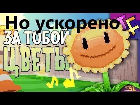 Видео: За тобой цветы, но это ускоренная версия!