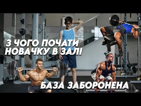 Видео: Тренування для новачків у залі | Що не варто робити в перший день?