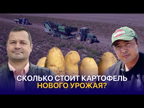 Видео: Бизнес на картофеле, жаростойкие сорта и работа над технологией — Alim Agro