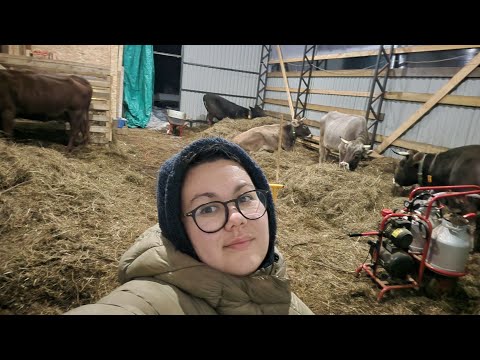 Видео: От куда деньги на переезд и хозяйство?! Раскрыли всю подноготную.