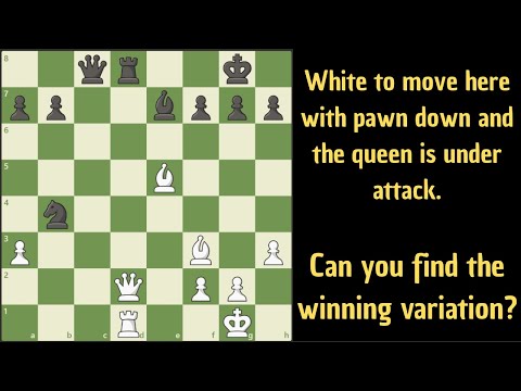 Видео: Видите ли вы здесь тактический выигрыш для белых?