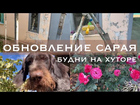Видео: Сельская жизнь в Адыгее/ Наш маленький Рэй/ Покрасили к зиме /Процесс продолжается/