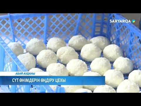 Видео: СҮТ ӨНІМДЕРІН ӨНДІРУ ЦЕХЫ