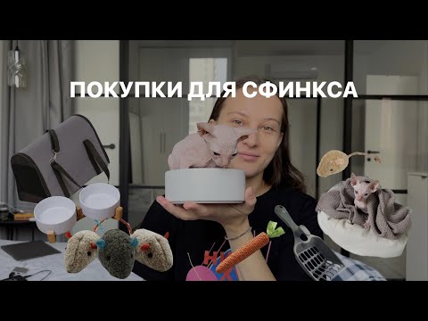 Видео: что я купила Марсу | штучки для сфинкса