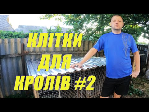 Видео: КЛІТКИ ДЛЯ КРОЛІВ 2