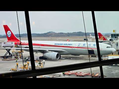 Видео: Airbus A330-300 а/к Sichuan Airlines | Рейс Чэнду – Санкт-Петербург