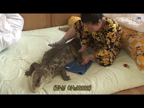 Видео: Тетя, усыновившая крокодила, как родилась ее дочь ?! Удивительная Корея