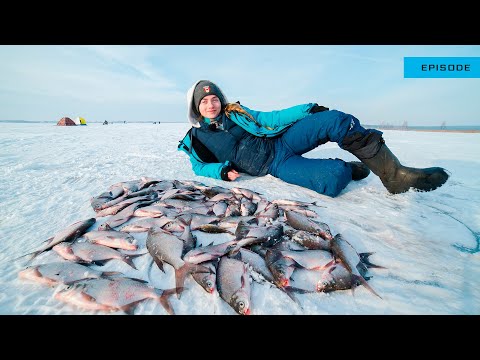 Видео: БЕШЕНЫЙ клев ПОДЛЕЩИКА ЗИМОЙ 2021!!!  + Поклевки ЩУКИ на жерлицы!