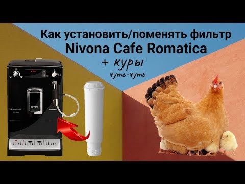 Видео: Кофемашина Nivona Cafe Romatica / Как поменять, установить фильтр в кофемашине