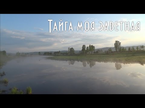 Видео: Уха на костре, божественного вкуса, из парной щуки, с грибами. Для здоровья и радости. ⬇ Eng