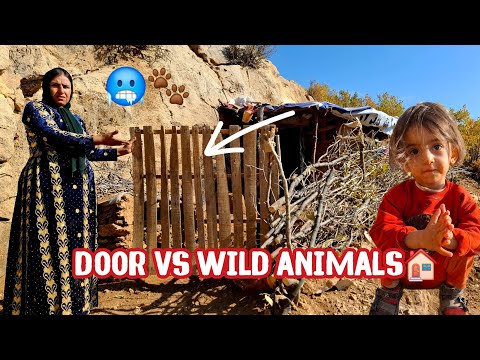 Видео: Строит дом для бездомных Дверь во дворе против диких животных и морозной зимы