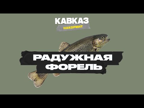 Видео: Кавказ накормит. Радужная Форель