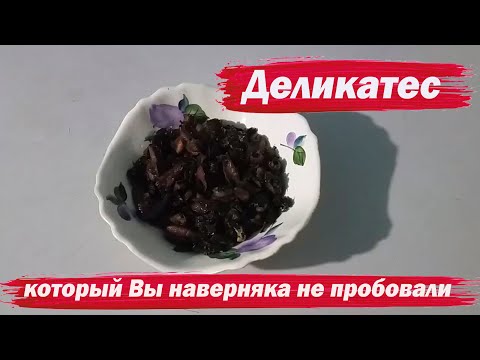 Видео: Деликатес, который Вы наверняка не пробовали