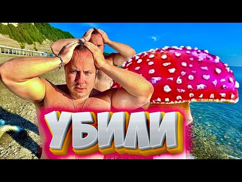 Видео: Мухоморы🍄 сломали мою жизнь!