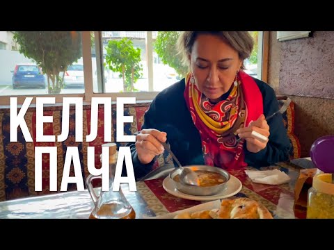 Видео: 20 минут красот и суп Келле пача. Проведу Равшан Ходжиев.