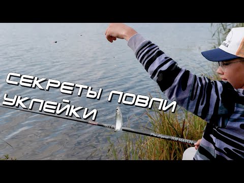 Видео: Учимся ловить уклейку на маховую удочку.