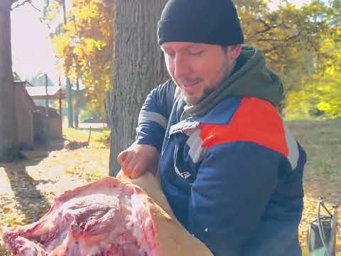Видео: Робота майстрів розробки туші свині 