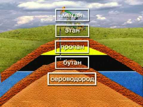 Видео: Основы геологии нефти и газа.