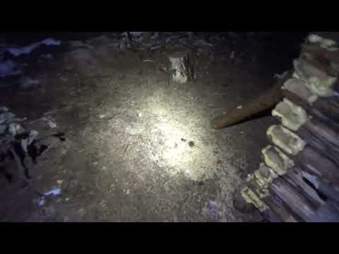 Видео: На  таежной избушке.