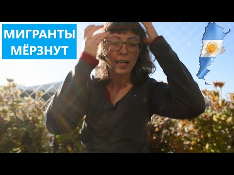 Видео: Климаты Аргентины - часть 2 + Слова и фразы на испанском