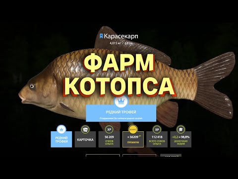Видео: Русская Рыбалка 4 - Фарм Котопса