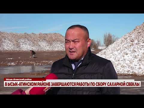 Видео: В ЫСЫК-АТИНСКОМ РАЙОНЕ ЗАВЕРШАЮТСЯ РАБОТЫ ПО СБОРУ САХАРНОЙ СВЕКЛЫ