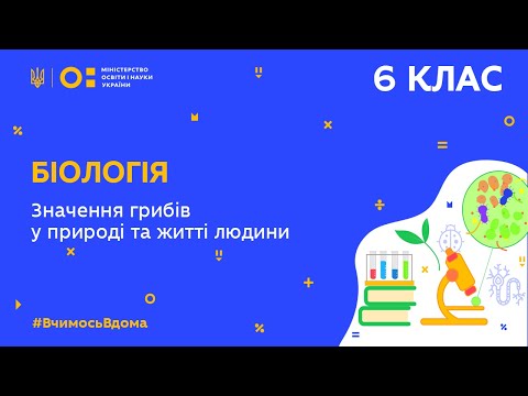 Видео: 6 клас. Біологія. Значення грибів у природі та житті людини (Тиж.10:ЧТ)