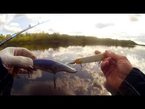 Видео: Ловля весенней щуки на джеркбейты skela