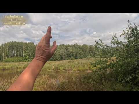 Видео: Охота на утку с дратхааром. Разучился стрелять