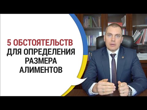 Видео: Пять Обстоятельств для Определения Размера Алиментов