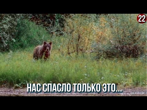 Видео: Медведь, который не боится собак и ружья, думали нам конец... Жизнь в глухой тайге как это?  22с.