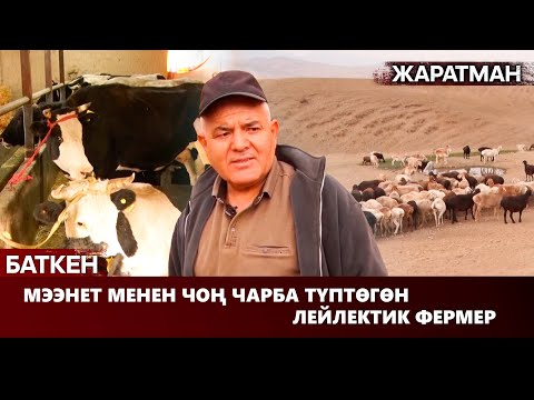 Видео: Баткен: Мээнет менен чоң чарба түптөгөн лейлектик фермер // ЖАРАТМАН