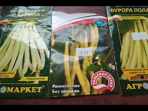 Видео: фасоль спаржевая без прополок