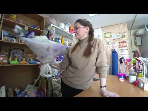 Видео: Букет из Эустомы, Антонова и Зелени💐🤩