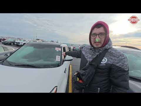 Видео: Аукцион Manheim USA: Немцы и Корейские стукачи GDI