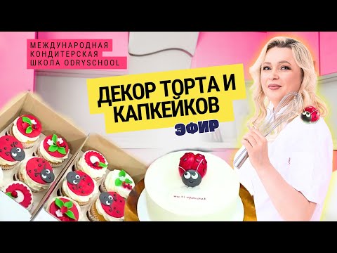 Видео: Декор торта и капкейков 🐞