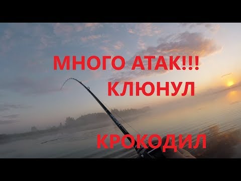 Видео: Ловля Щуки на Поппер! Ловля Щуки на Мелководье!