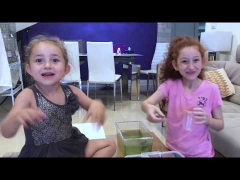 Видео: ВЛОГ Новый дом для черепах | ВОДНЫЕ ЧЕРЕПАХИ