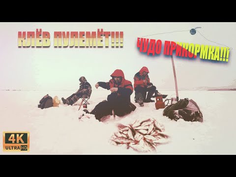 Видео: Супер КЛЁВ!!! От этой ПРИКОРМКИ рыба сходит с УМА!!! Весенняя рыбалка 2021!!! Мечта РЫБАКА!!!