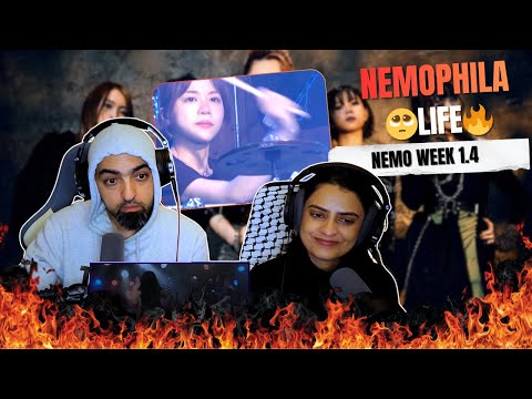 Видео: Неделя реакции немофилы - 4 - Жизнь