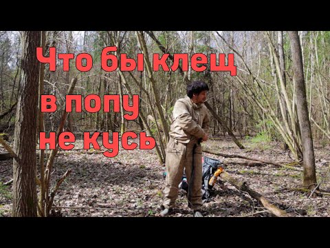 Видео: Хорошая энцефалитка - Тайга Проф / Покров / Росомаха