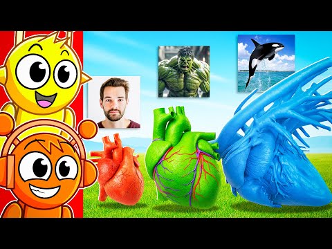 Видео: Реакция Sprunki на сравнение размеров сердца