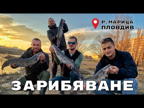 Видео: Опит за КРАЖБА!!! Зарибяваме река МАРИЦА със СОМ