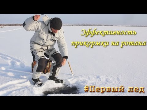 Видео: Эффективность прикормки на ротана: проверил на практике по первому льду