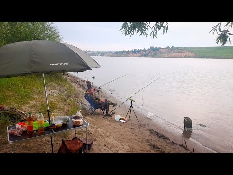 Видео: НОЧЬ на РЕКЕ .СОРОГА  КАК СЕЛЕДКА .Мясо на углях #рыбалка #ловлянадонки #globaldrive #ЛодкаSTORMLINE
